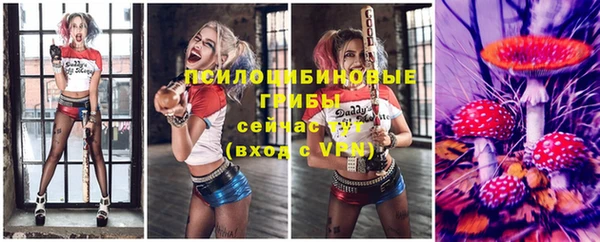 jwh Алзамай