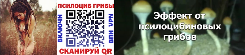 Псилоцибиновые грибы MAGIC MUSHROOMS  Майкоп 